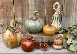 Potters‘ Pumpkin Patch in Seagrove
