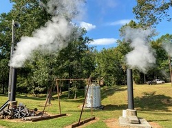 The Annual Steam Day at Linbrook Heritage Estate