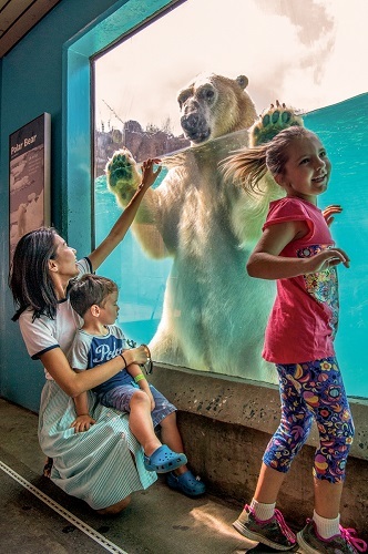 14 Ways to Enjoy the North Carolina Zoo  -
Plus, extra advice on making the most of your trip